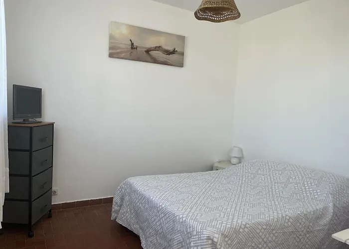 Le Barcares, Pour 2, Terrasse, Parking, Animaux Bienvenus, Acces Direct - Fr-1-799-1 Apartamento *